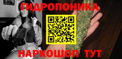 дживик Тверь