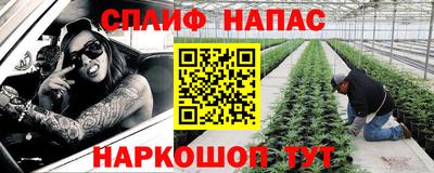 дживик Тверь