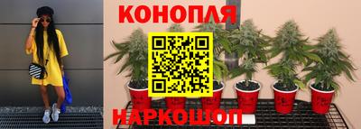 скорость Тара