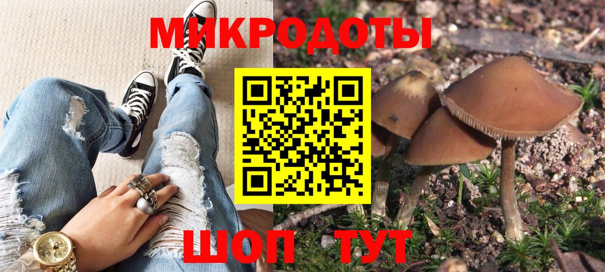 Нижний Тагил  Псилоцибиновые грибы прущие грибы  Вход с VPN 