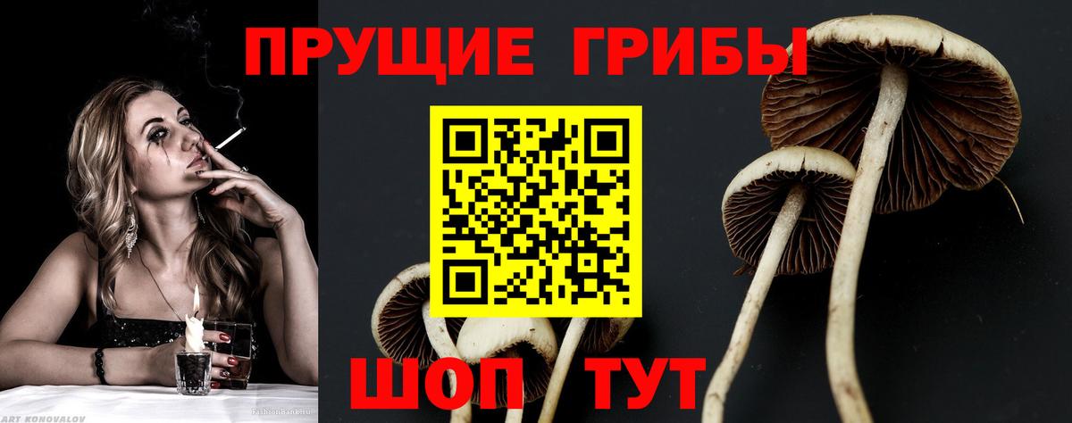 Галлюциногенные грибы Cubensis Нижний Тагил